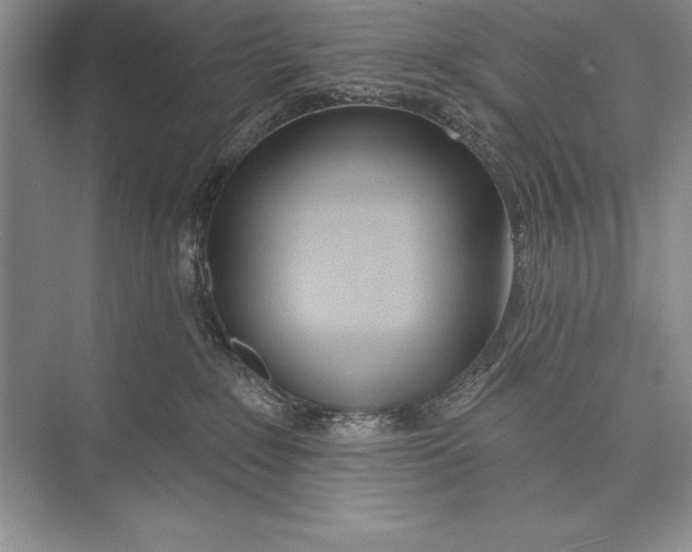 X0000074960235200609221805