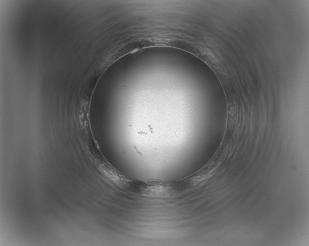 X0000074960237200609221805