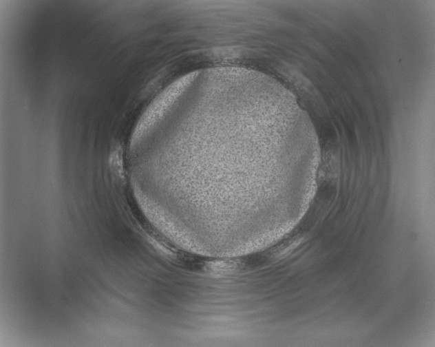 X0000074960238200609221805