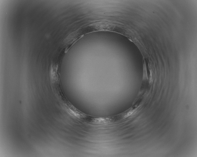 X0000074960239200609221805