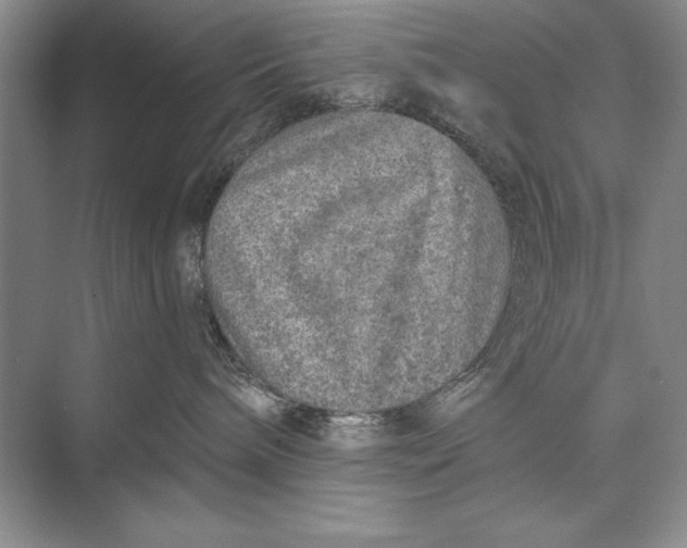 X0000074960240200609221805