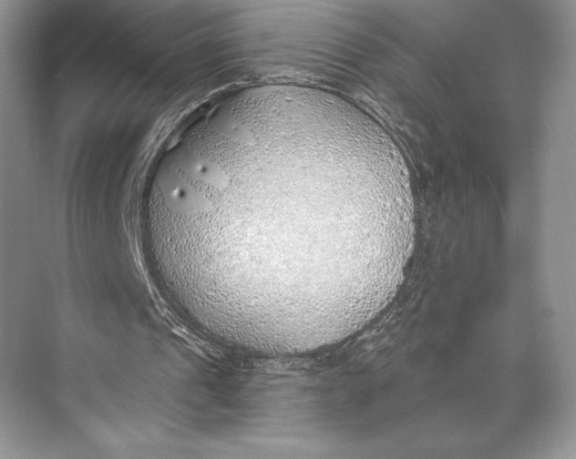 X0000074960241200609221804