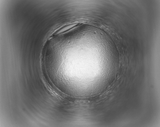 X0000074960242200609221804