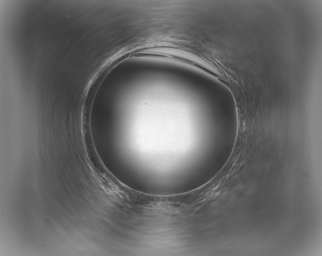 X0000074960244200609221804