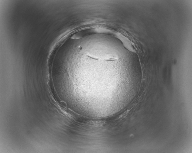 X0000074960245200609221804