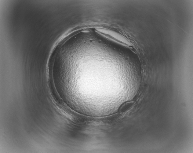 X0000074960246200609221804