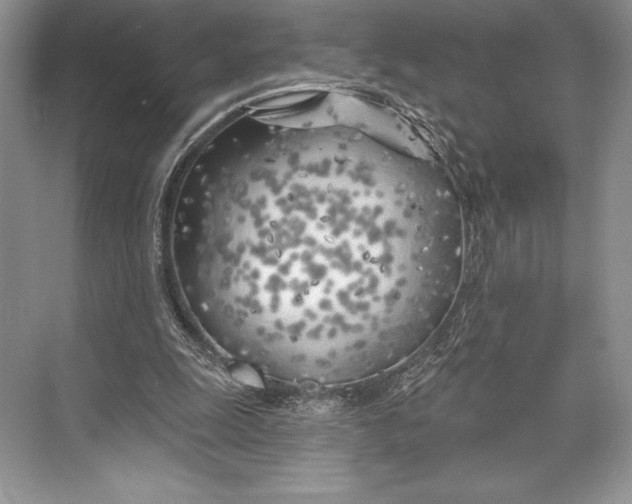 X0000074960247200609221804