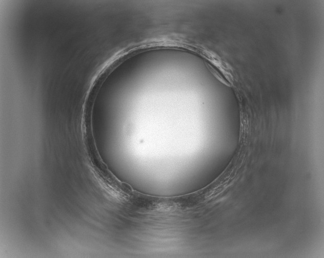 X0000074960248200609221804