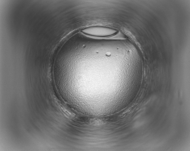 X0000074960249200609221804