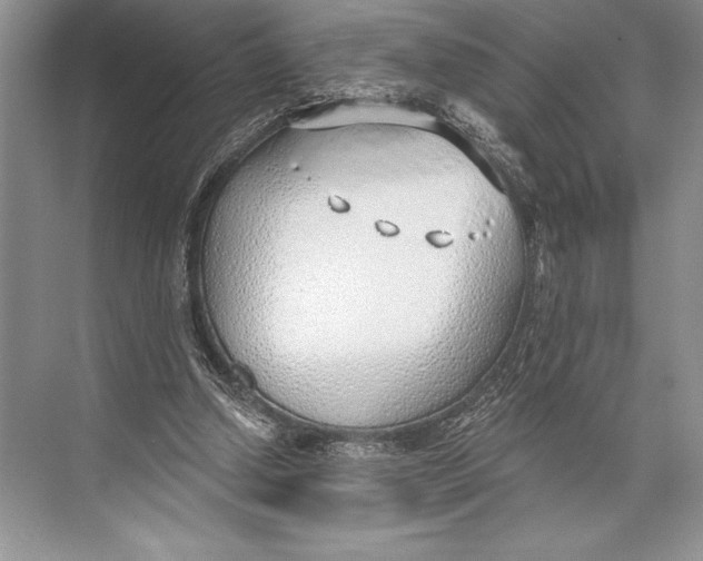 X0000074960250200609221804