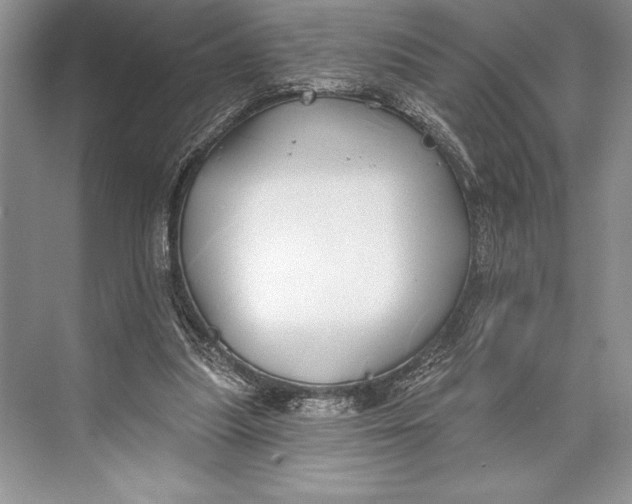 X0000074960251200609221804