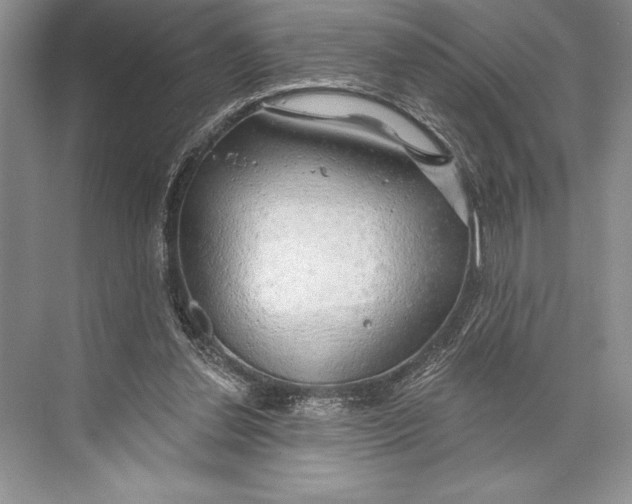 X0000074960252200609221804