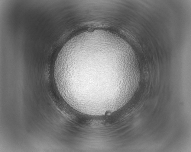 X0000074960255200609221804