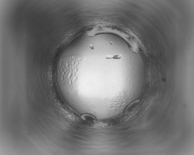 X0000074960257200609221804