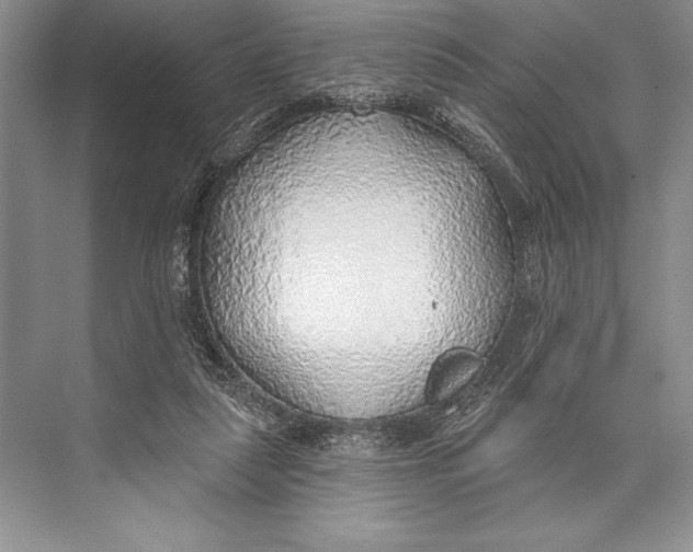 X0000074960259200609221804