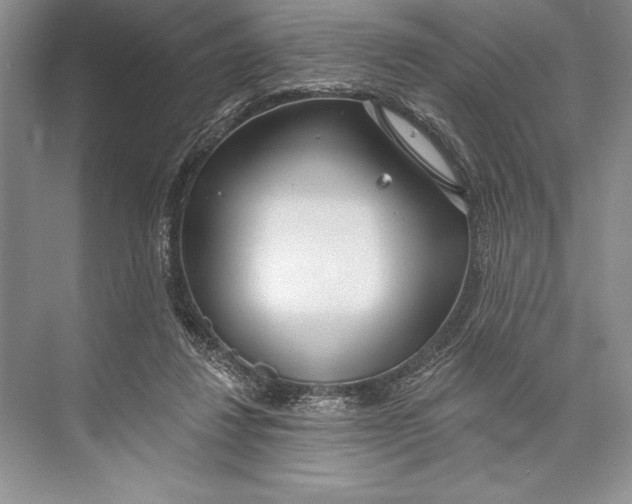 X0000074960260200609221804