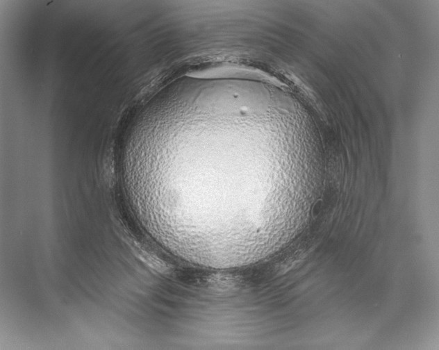 X0000074960261200609221804