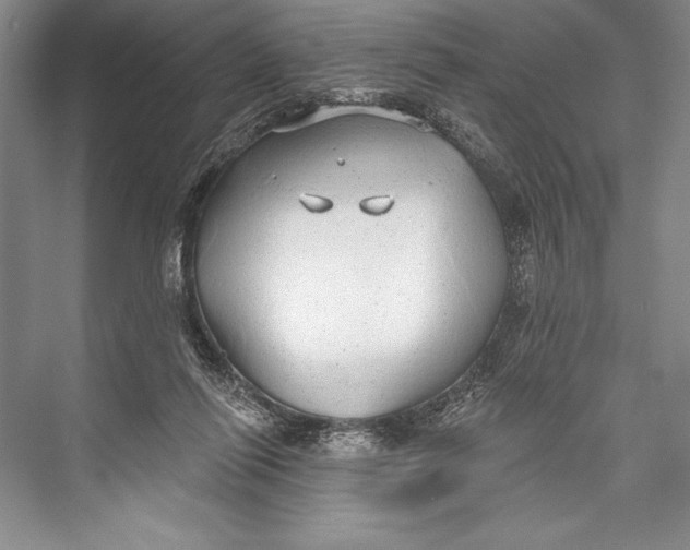 X0000074960262200609221804