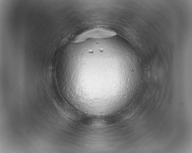 X0000074960263200609221804