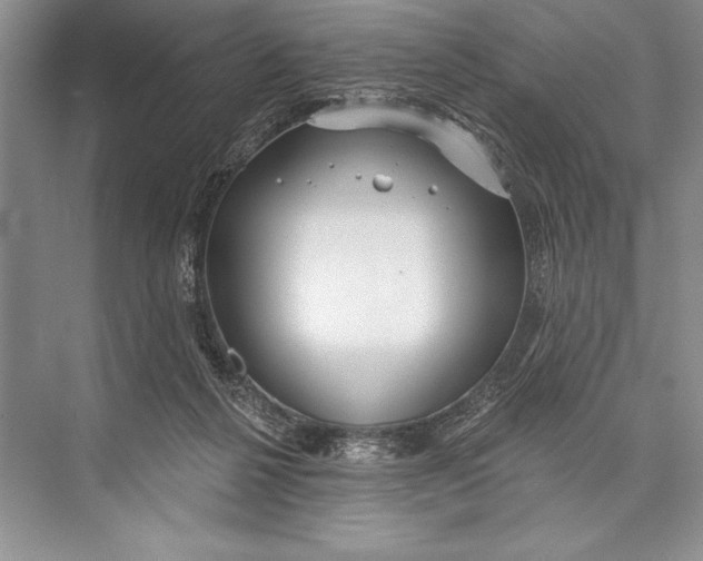 X0000074960264200609221804