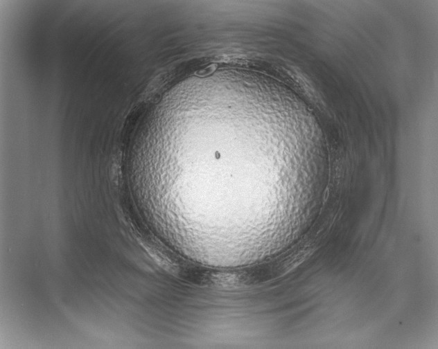 X0000074960265200609221804