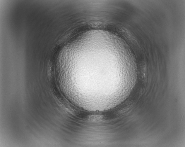 X0000074960266200609221804