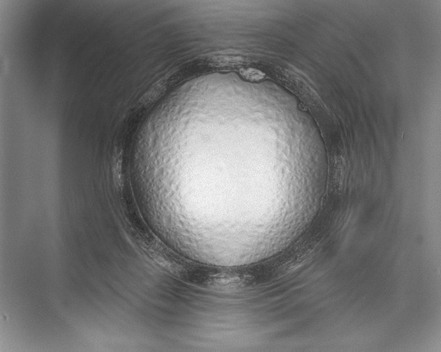 X0000074960267200609221804