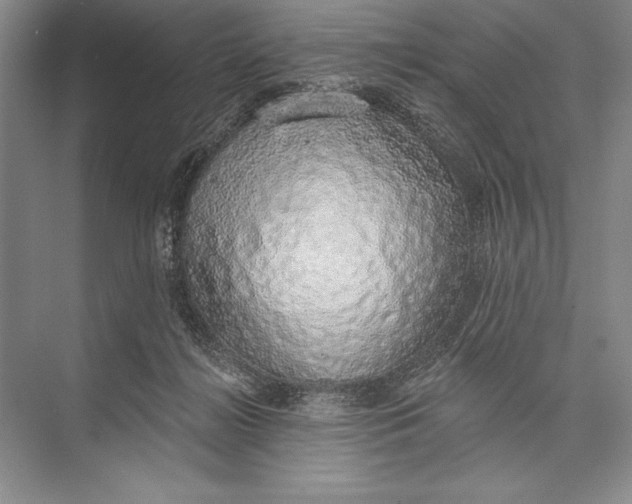 X0000074960268200609221804