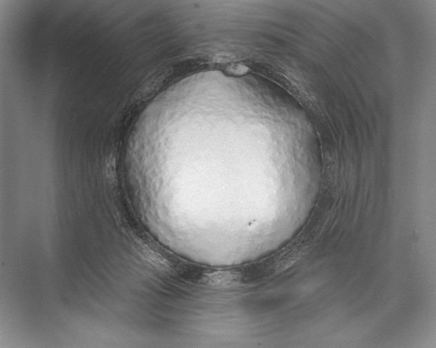 X0000074960269200609221804