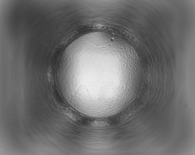 X0000074960270200609221805