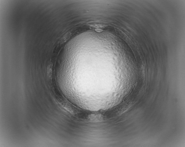 X0000074960271200609221805