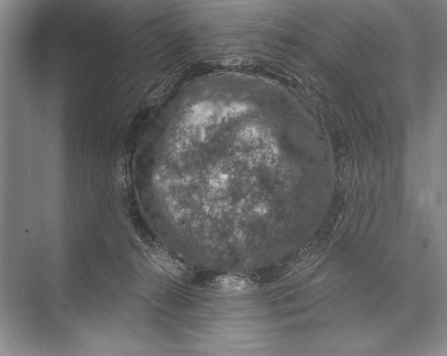 X0000074960272200609221805