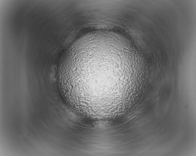 X0000074960273200609221805