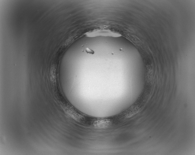 X0000074960274200609221805