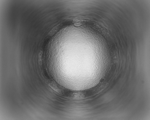 X0000074960275200609221805