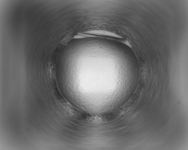 X0000074960276200609221805