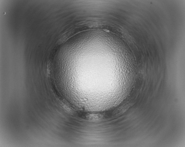 X0000074960277200609221805