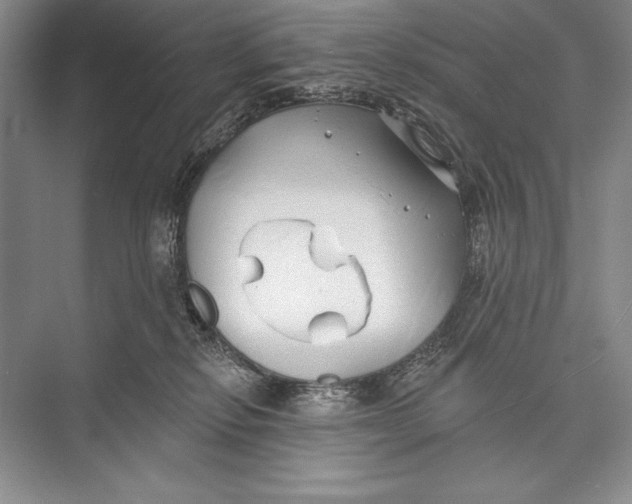 X0000074960278200609221805