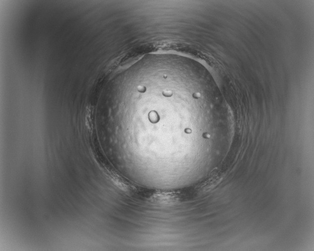 X0000074960280200609221805