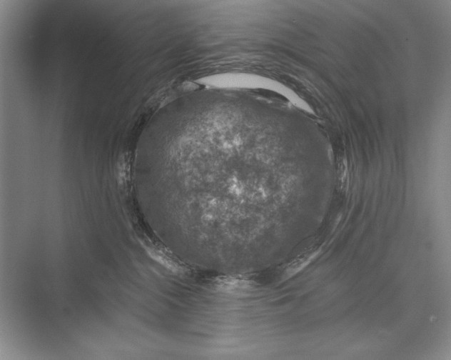 X0000074960284200609221805