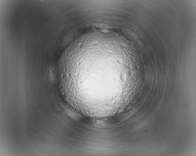 X0000074960285200609221805