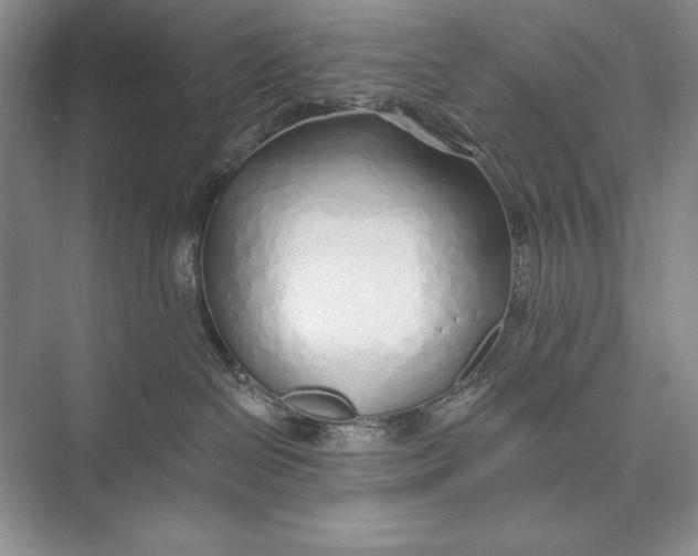 X0000074960286200609221805