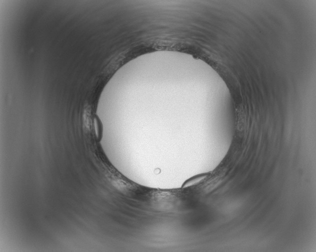 X0000074960287200609221805