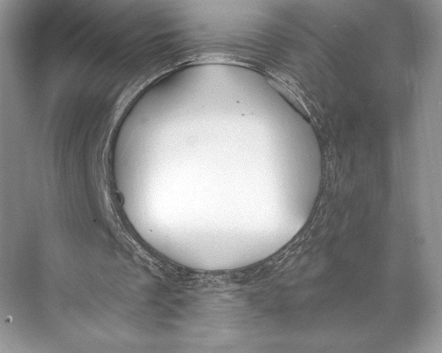 X0000074960289200609221804