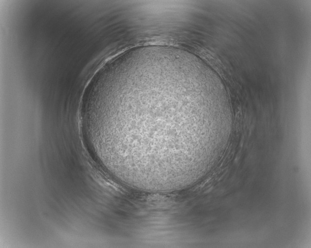 X0000074960290200609221804