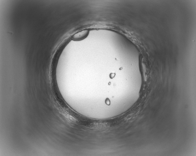 X0000074960296200609221804