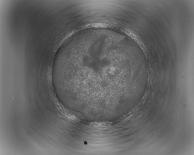 X0000074960297200609221804