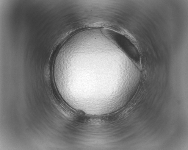 X0000074960298200609221804