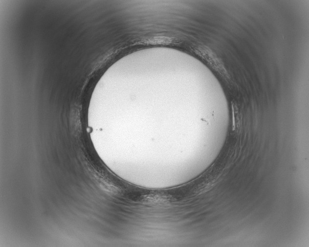 X0000074960300200609221804