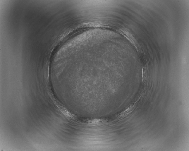 X0000074960301200609221804